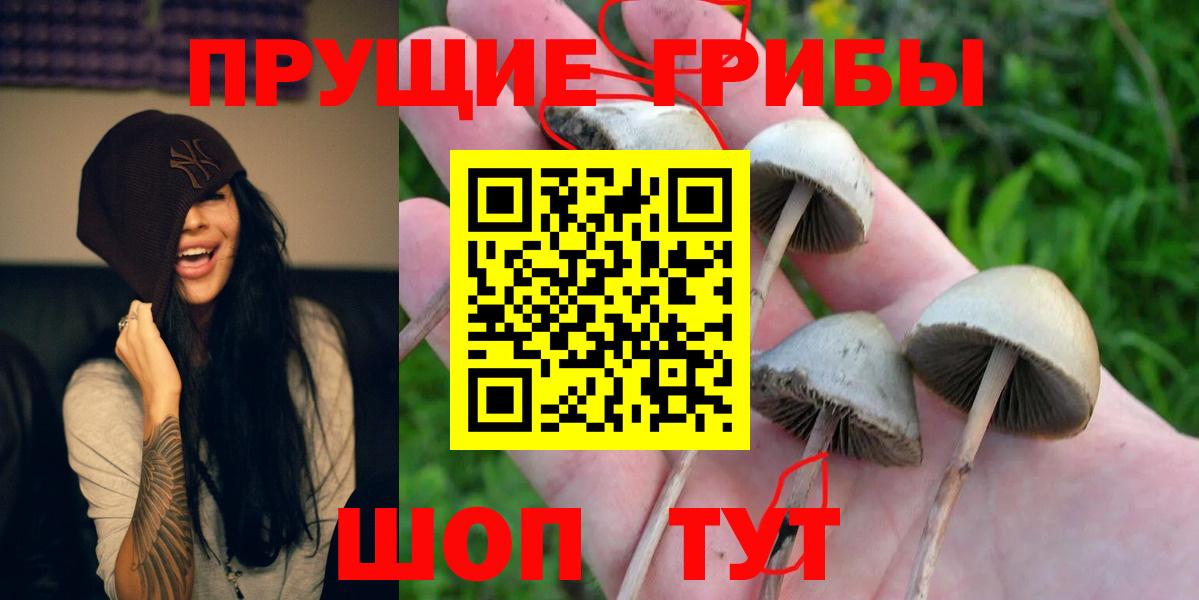 МЕТАМФЕТАМИН  ГАШИШ  Меф МЯУ МЯУ кристаллы  Cocaine  Спасск-Дальний  Вход с VPN  Конопля  ГАШ 